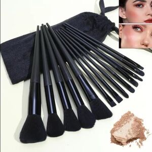 Makeup Brush Set 13 brushes & Pouch NIP